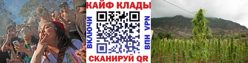 Где купить наркотики Сковородино Альфа ПВП  Мефедрон  Галлюциногенные грибы  MDMA  ГАШ  АМФЕТАМИН  Кокаин 