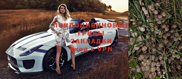 первитин Арсеньев