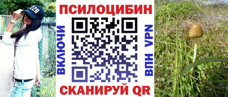 Псилоцибиновые грибы мицелий  ссылка на мегу вход  Сковородино  где найти наркотики 